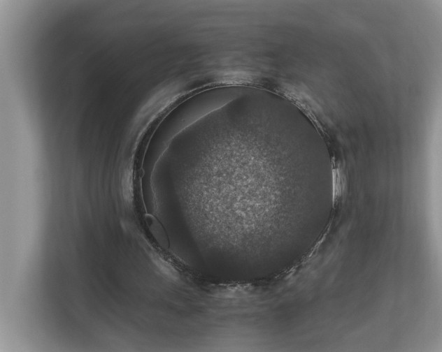 X0000110890243200906251323