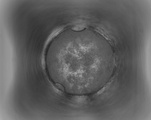 X0000110890245200906251323
