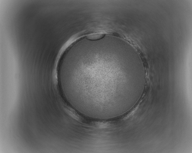 X0000110890246200906251323