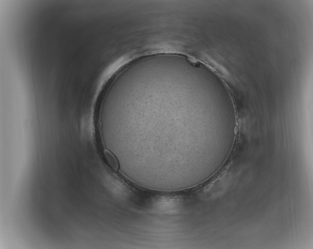 X0000110890248200906251323