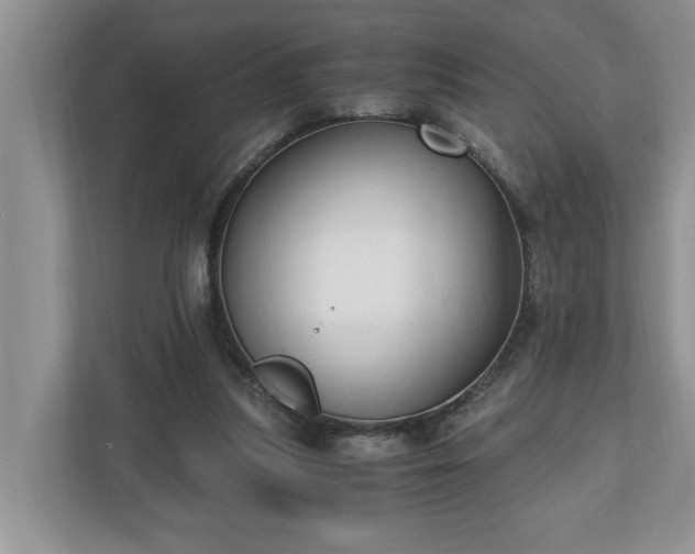 X0000110890251200906251323