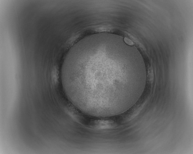 X0000110890255200906251323