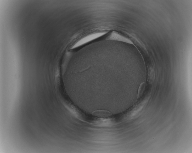 X0000110890260200906251323
