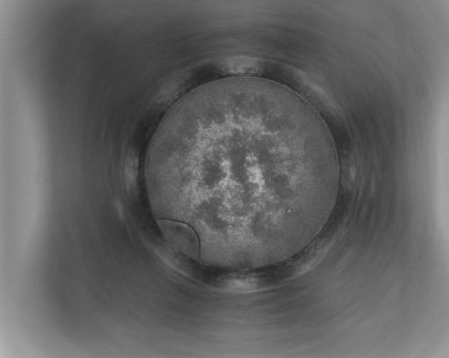 X0000110890263200906251323