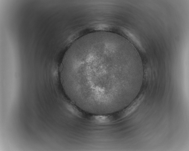 X0000110890265200906251323