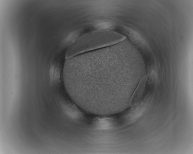 X0000110890268200906251323