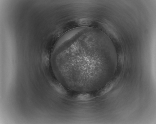 X0000110890271200906251323