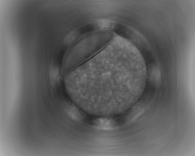 X0000110890272200906251323