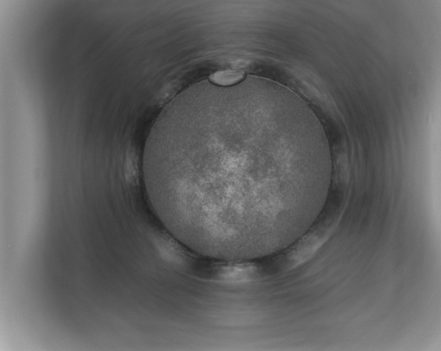 X0000110890274200906251323