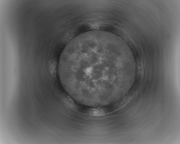 X0000110890275200906251323