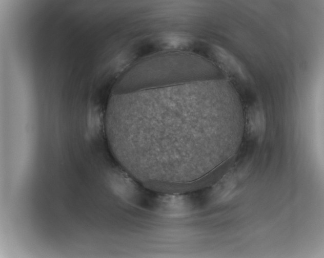 X0000110890276200906251323