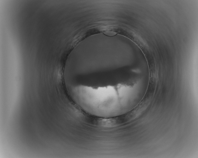 X0000110890277200906251323