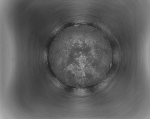X0000110890282200906251323