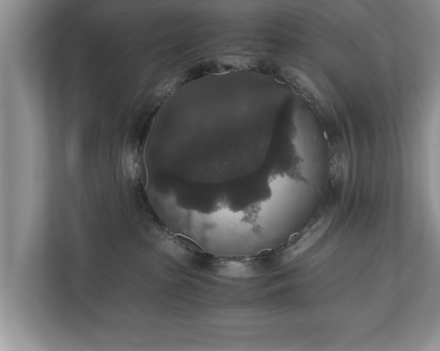 X0000110890285200906251323