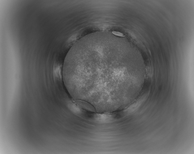 X0000110890286200906251323