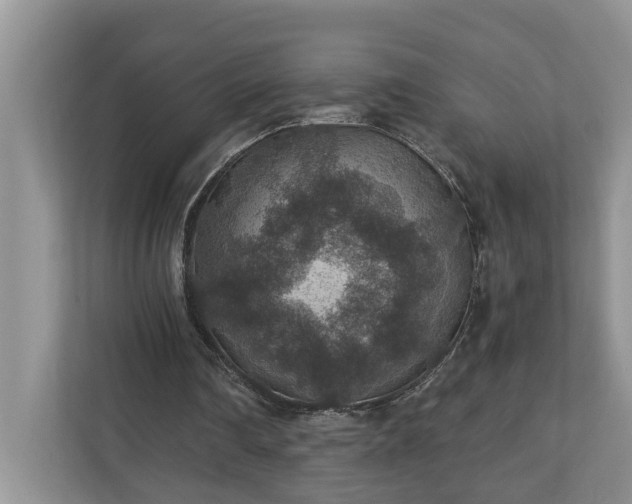X0000110890290200906251323