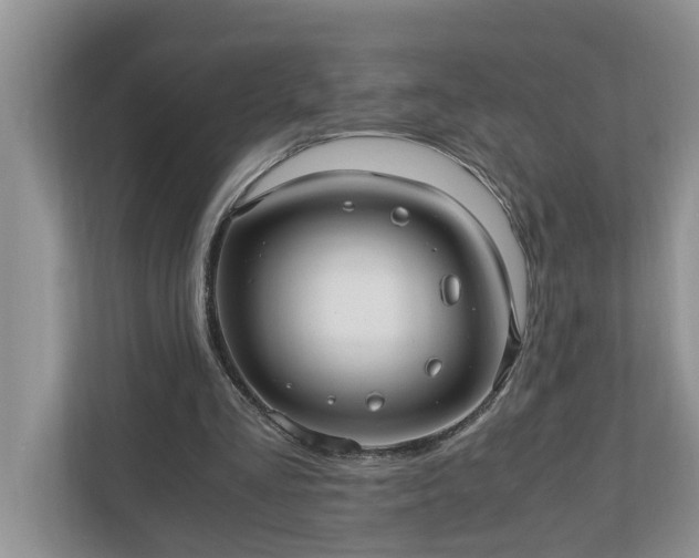 X0000110890293200906251323