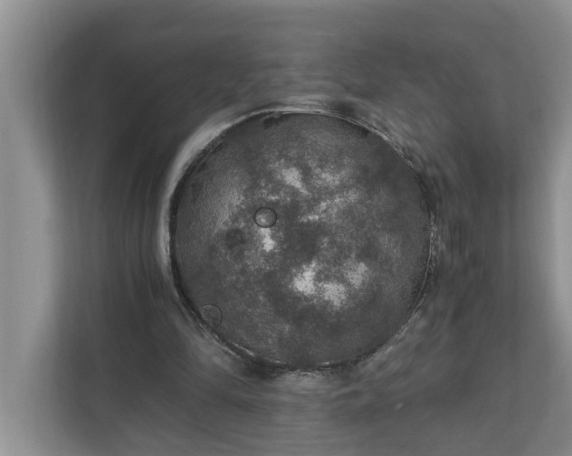 X0000110890294200906251323
