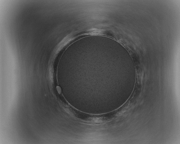 X0000110890295200906251323