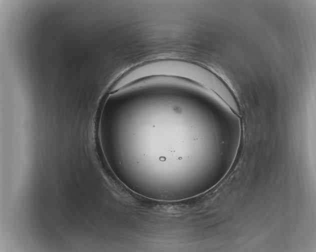 X0000110890297200906251323
