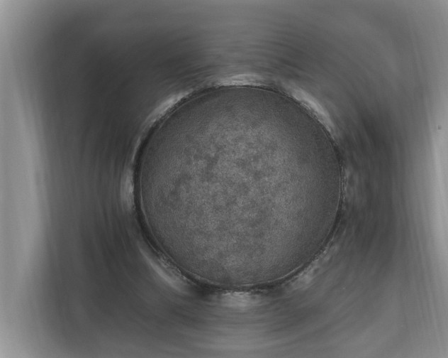 X0000110890298200906251323