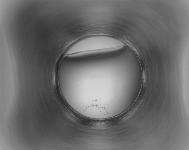 X0000110890301200906251323