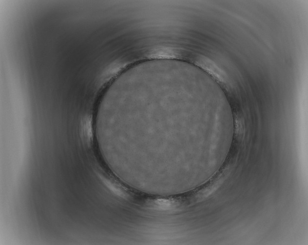 X0000110890302200906251323