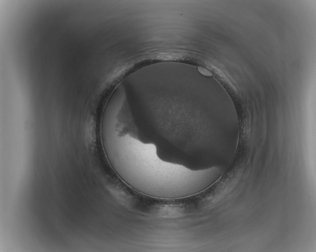 X0000110890303200906251323