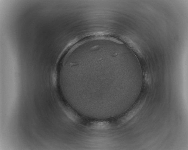 X0000110890304200906251323
