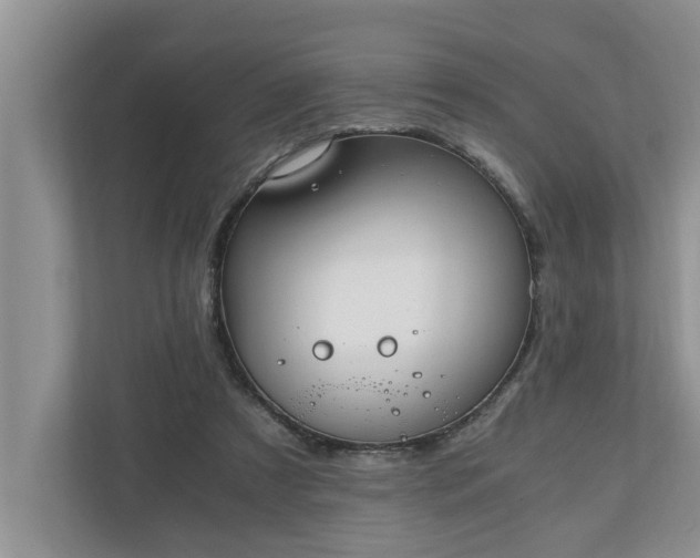 X0000110890305200906251323