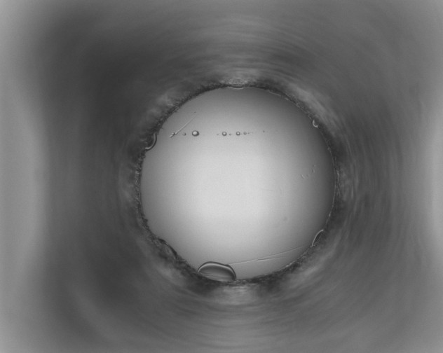 X0000110890307200906251323