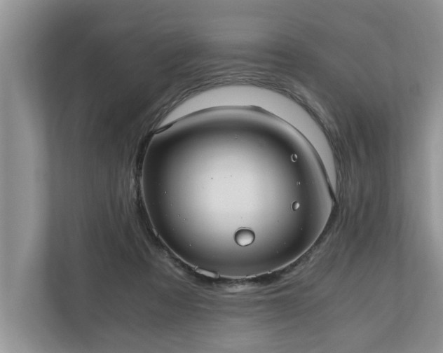 X0000110890313200906251323