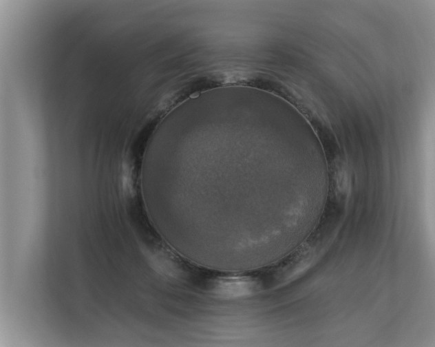 X0000110890316200906251323