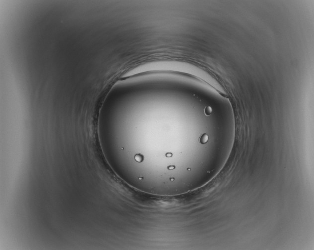 X0000110890317200906251323