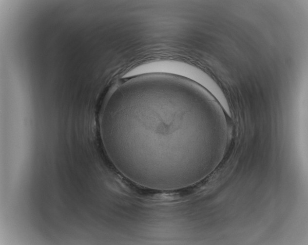 X0000110890320200906251322