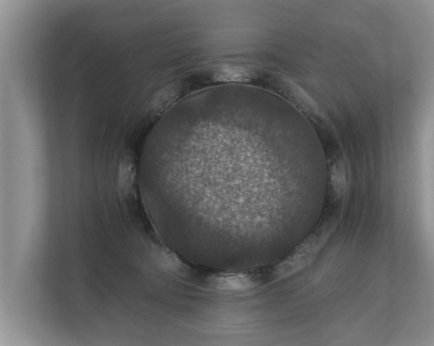 X0000110890322200906251322