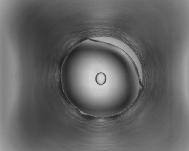 X0000110890325200906251322