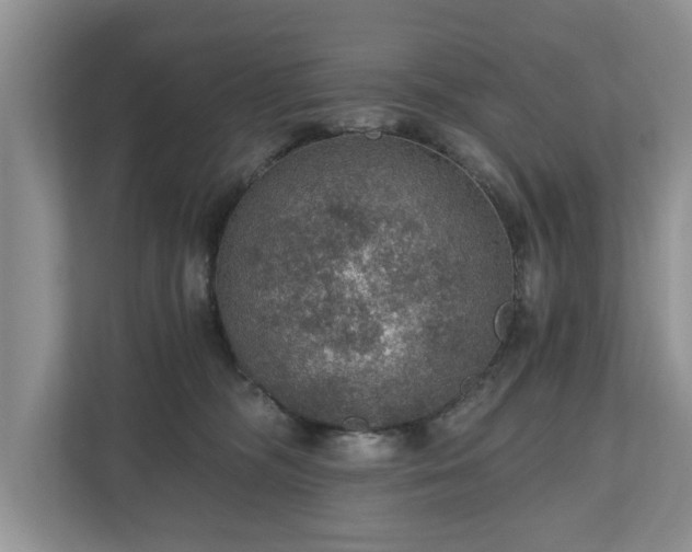 X0000110890326200906251322