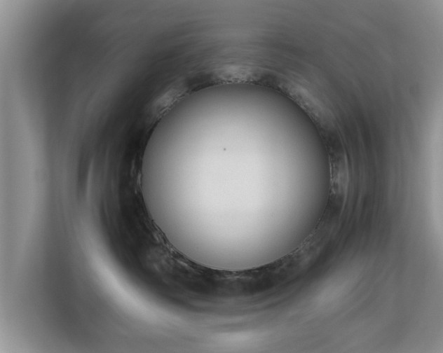 X0000110890334200906251322