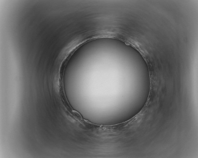 X0000110890338200906251322