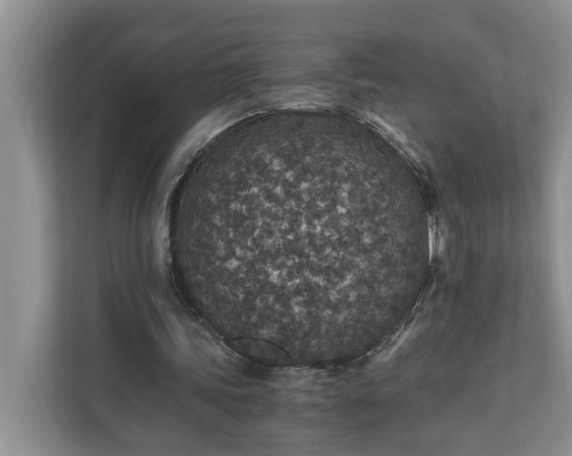 X0000110890339200906251322