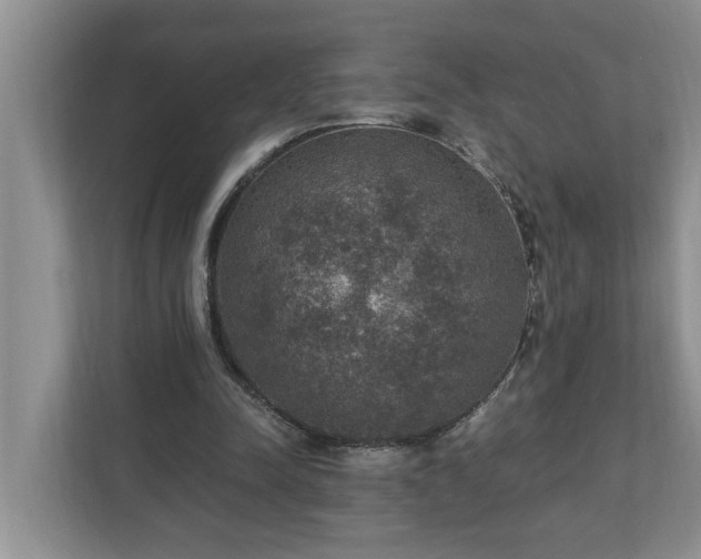 X0000110890342200906251322