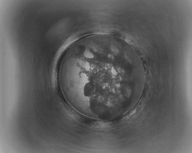X0000110890343200906251322