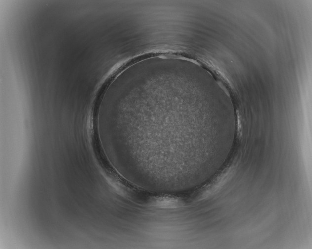 X0000110890348200906251322