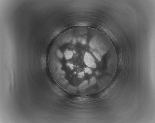 X0000110890351200906251322
