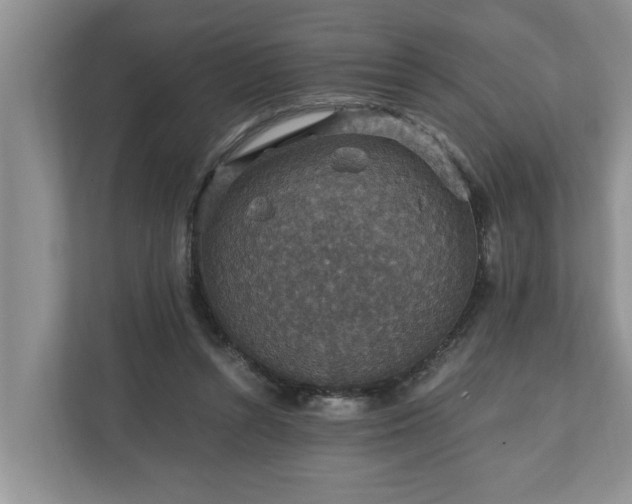 X0000110890352200906251322