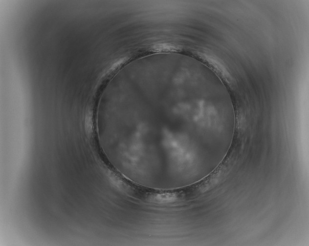 X0000110890353200906251322
