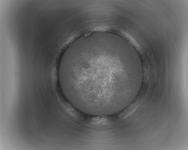 X0000110890354200906251322