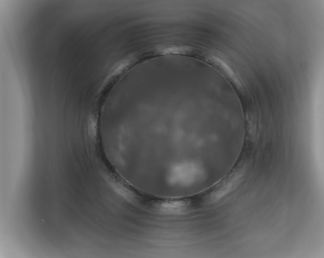X0000110890357200906251322