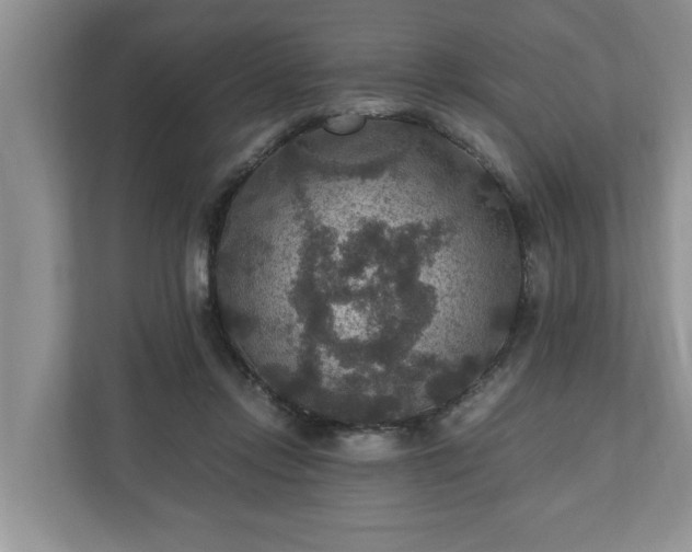 X0000110890358200906251322